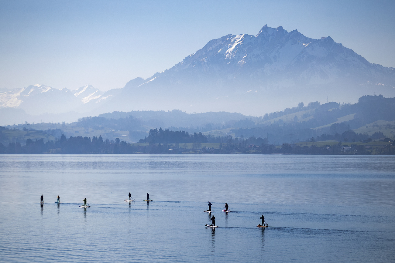 paddle board