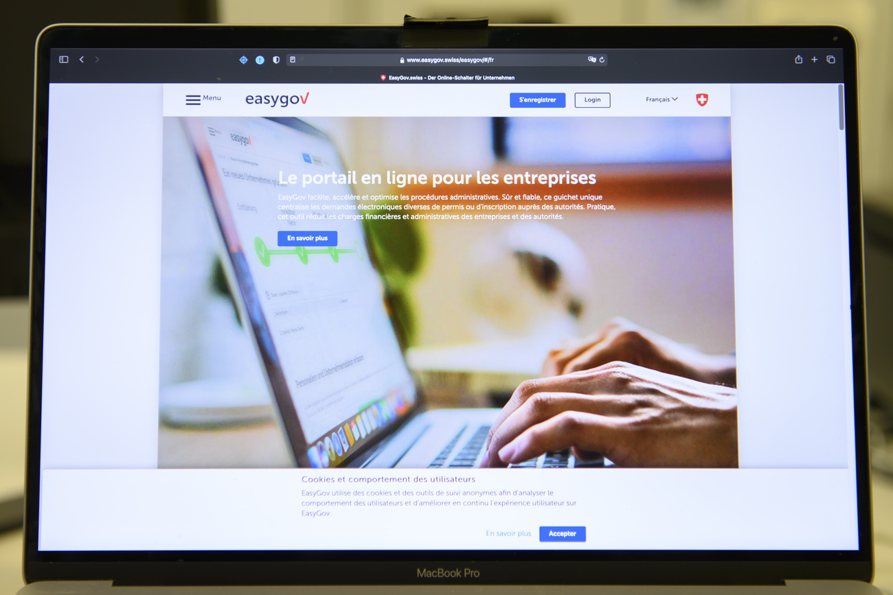 page d accueil du site easygov