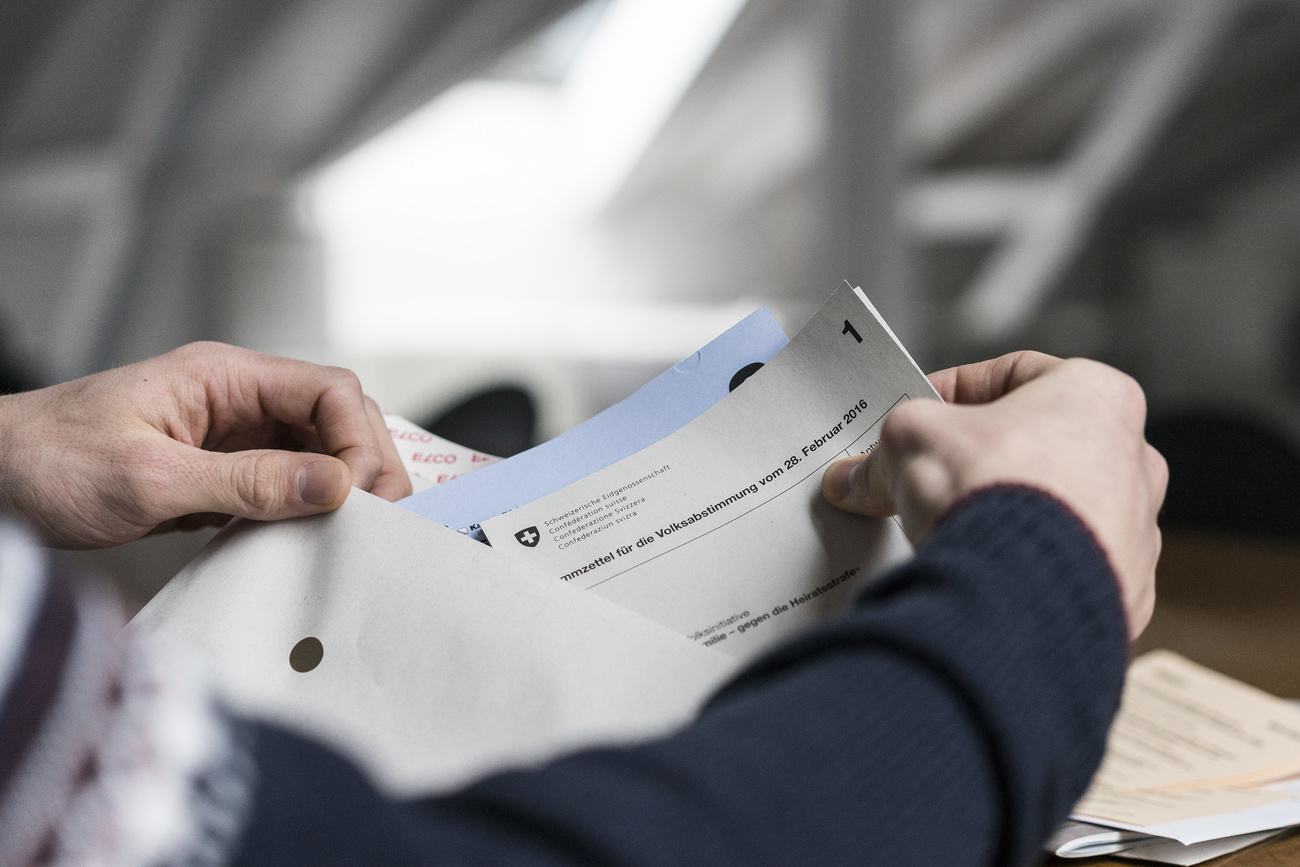 Voting papers