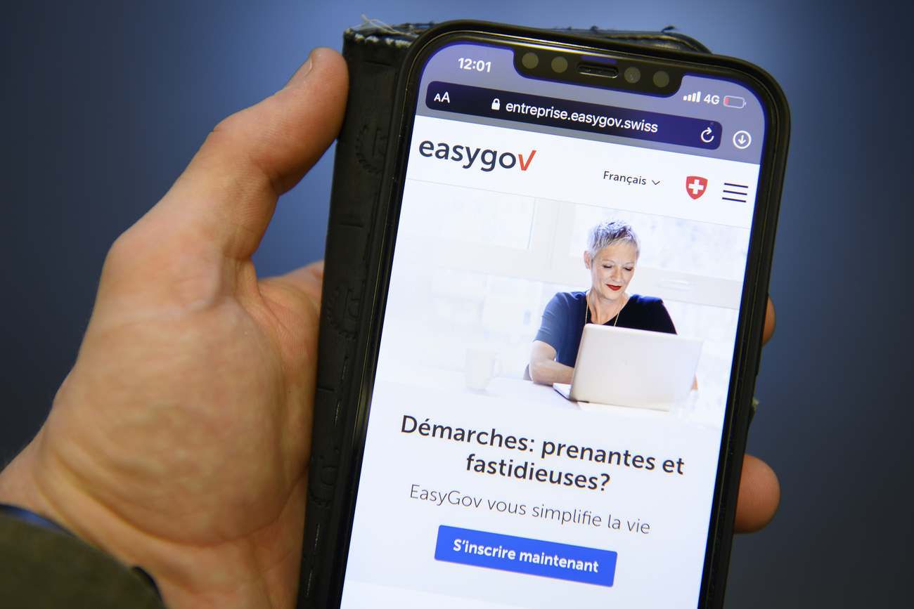 L interfaccia del sito Easygov.