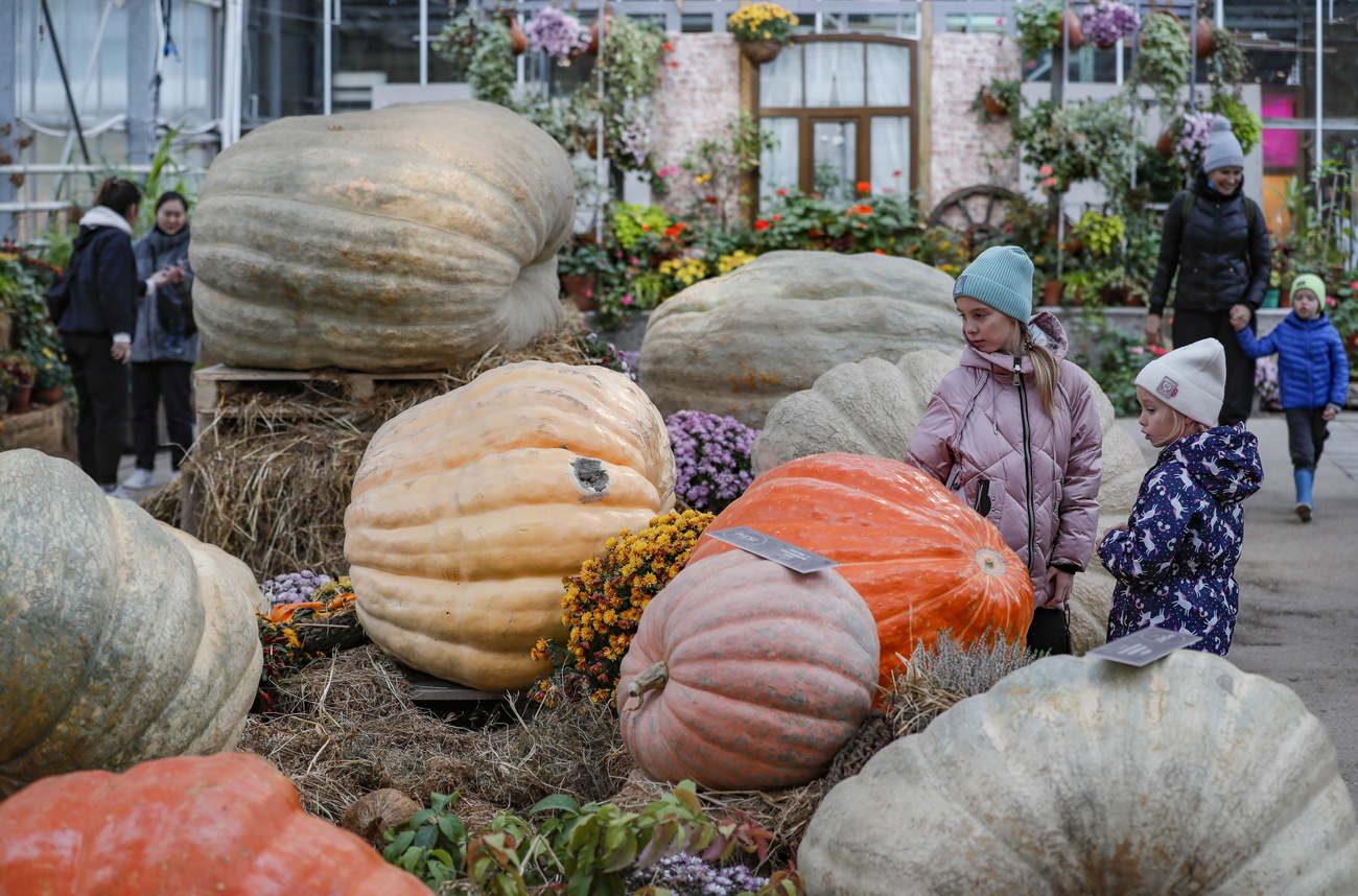 Children and pumpkins