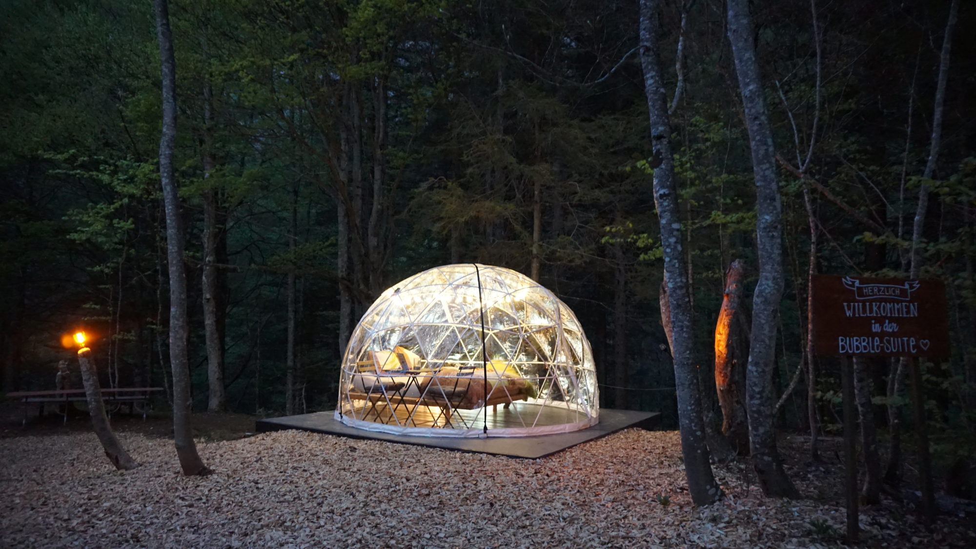 Sphère de verre dans une forêt