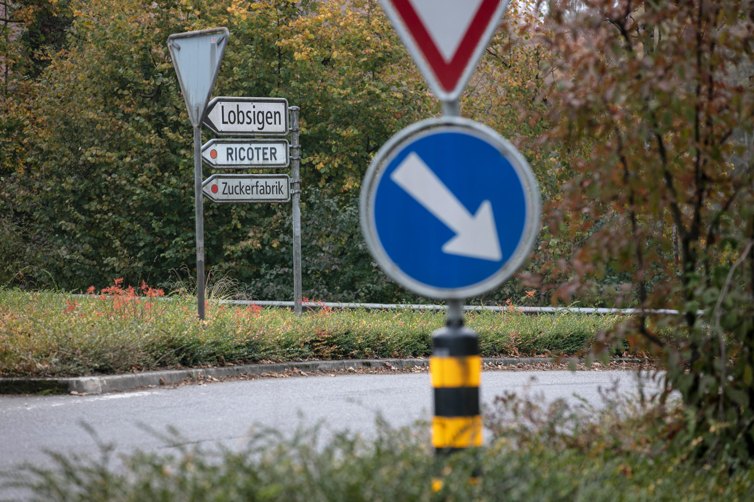 Aarberg, la capital suiza del azúcar