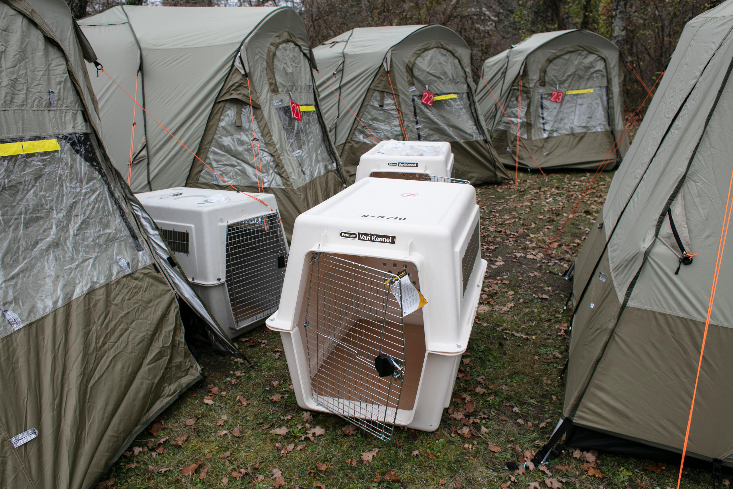 Rescue dog transport box