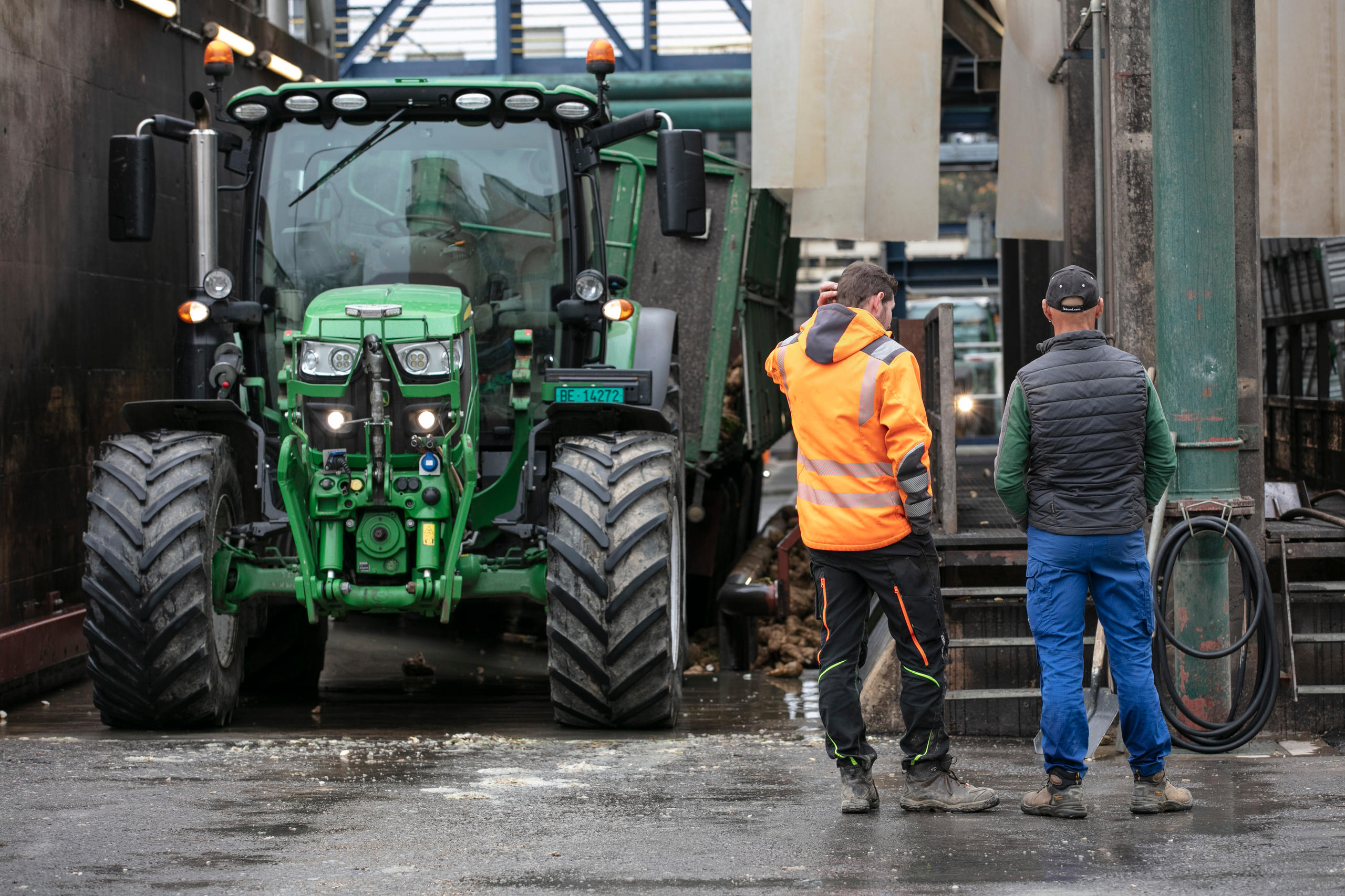 Llegada del producto a la fábrica en tractor