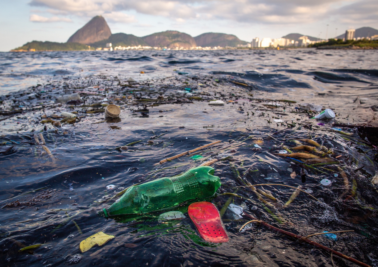 Polluted waters off the coast of Brazil