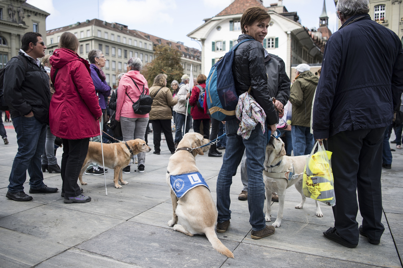Teilnehmerinnen und Teilnehmer mit Blindenhunden am Tag des Weissen Stocks.