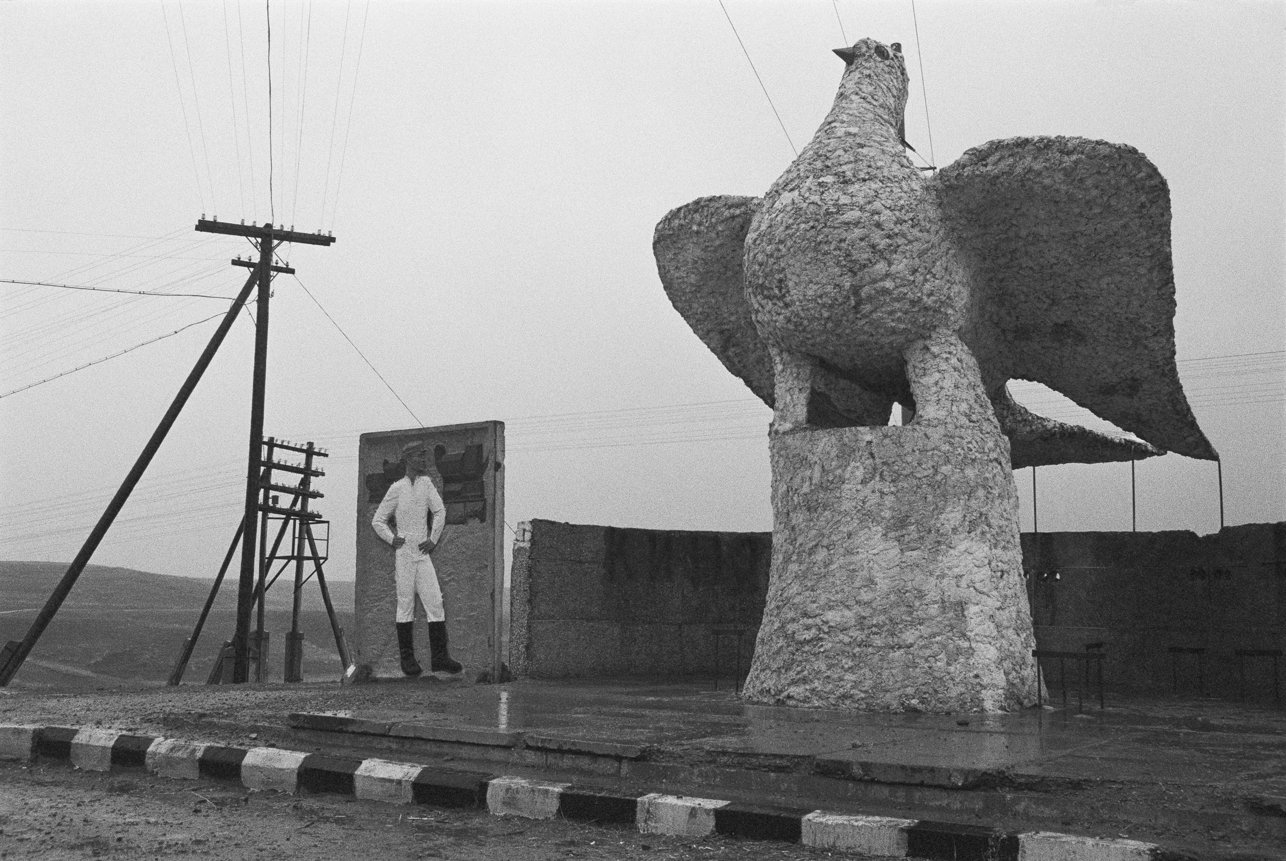 Estatua de paloma de la paz