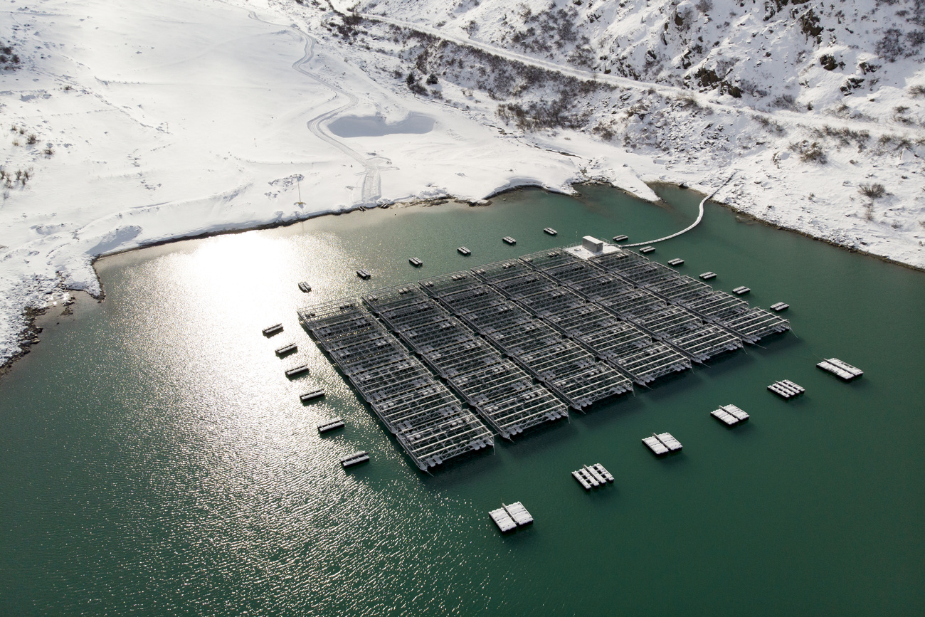 solar panels on lake