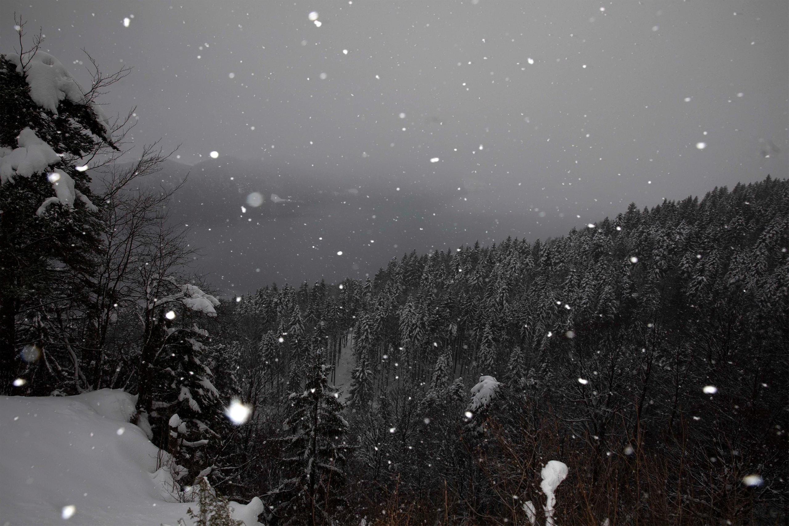 Neige tombant sur un paysage montagneux enneigé et brumeux.