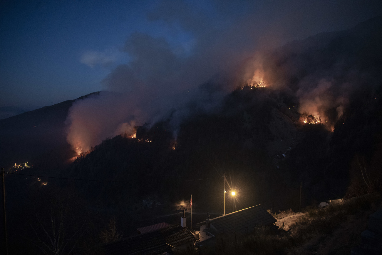 Le fiamme vive che stanno bruciando i boschi sul Monte Gambarogno.