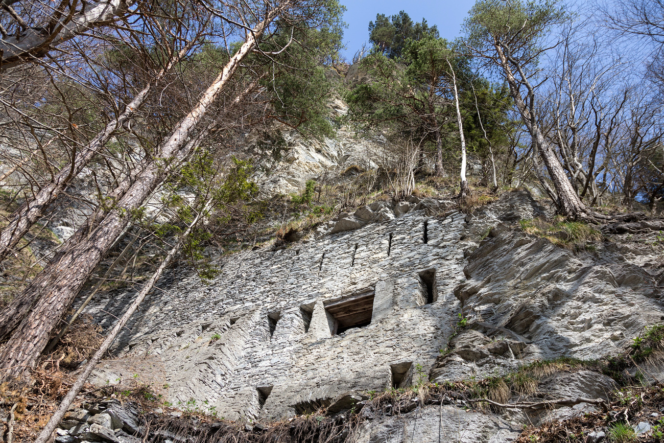 Forteresse au milieu de rochers et d arbres.