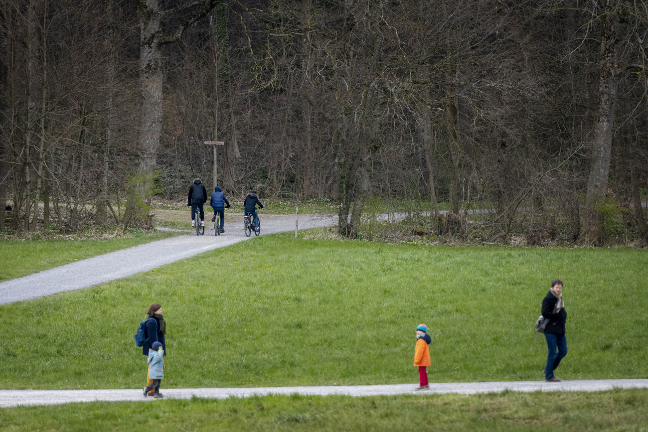 Waldspaziergänger