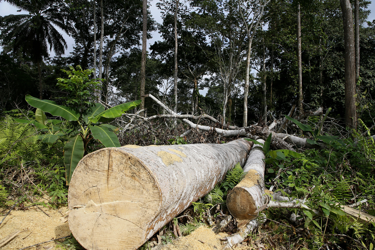 log
