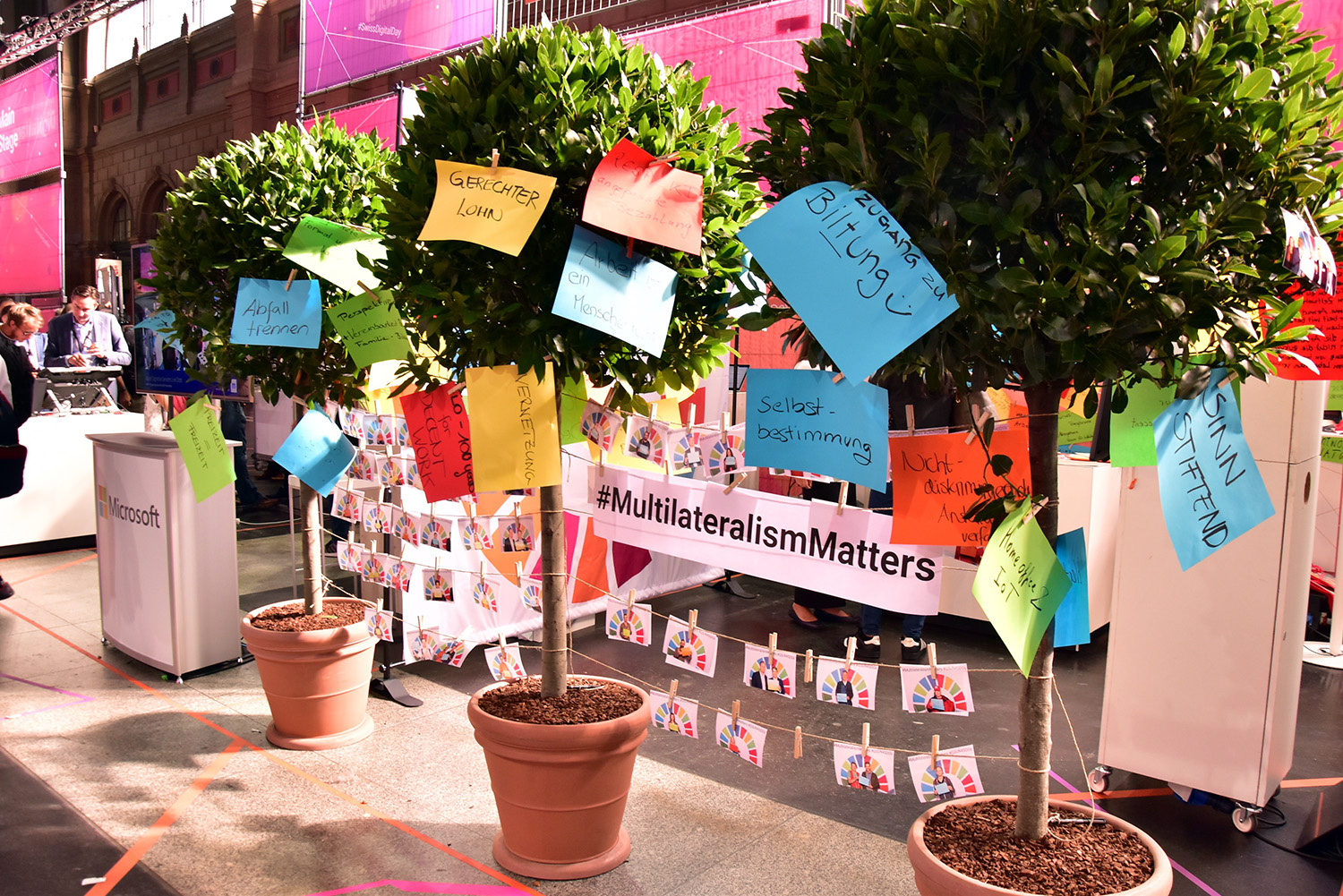 Plantes en pot avec des messages dessus.