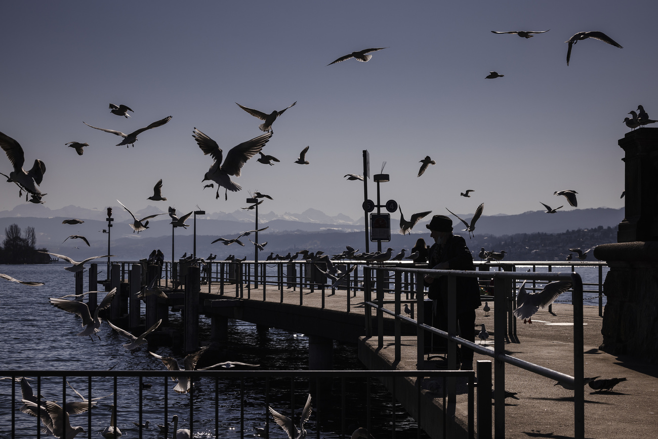 View of Lake Zurich on February 10.