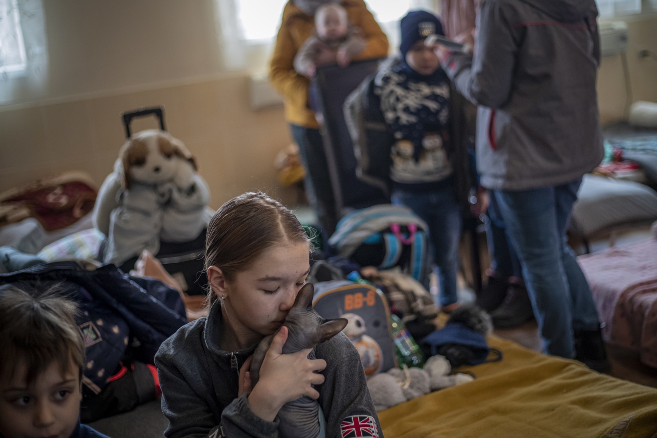 Ein Mädchen spielt mit einem Hund in einem mit Gepäck überfüllten Zimmer