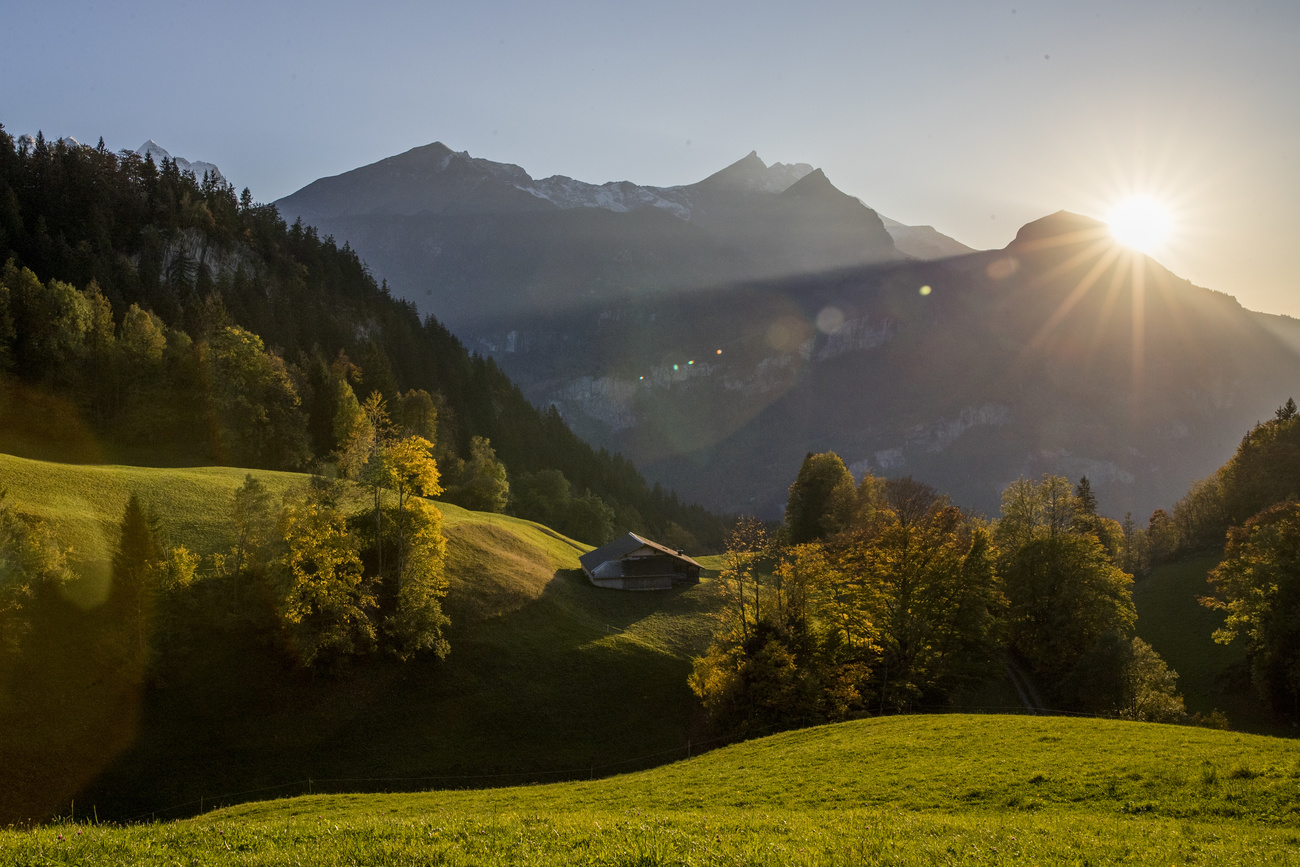 Il sole sorge dietro a una montagna e illumina i boschi circostanti.