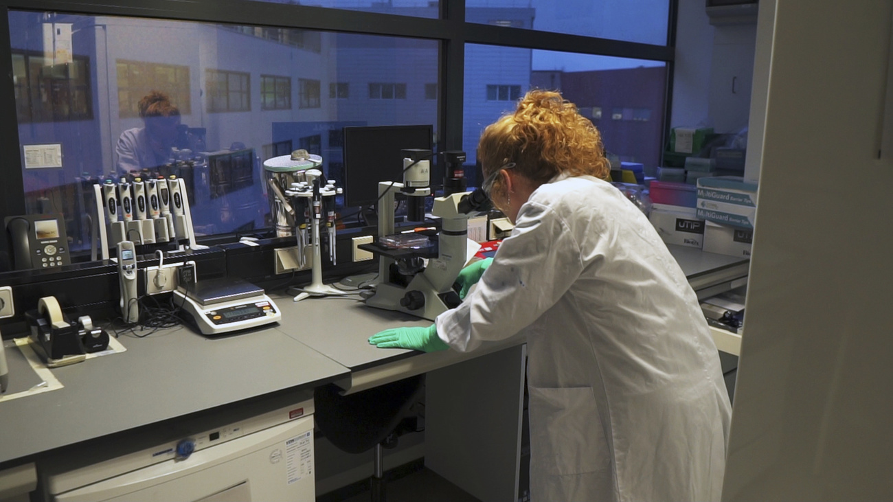 Labororatory scientist looks through a microscope
