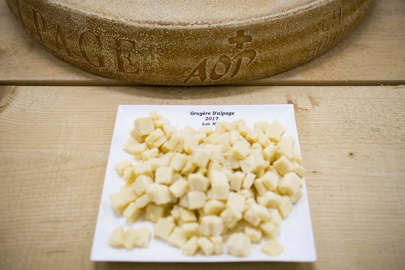 cubetti di formaggio davanti a forma di formaggio