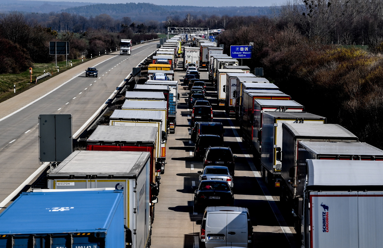 Row of stationary trucks on highway