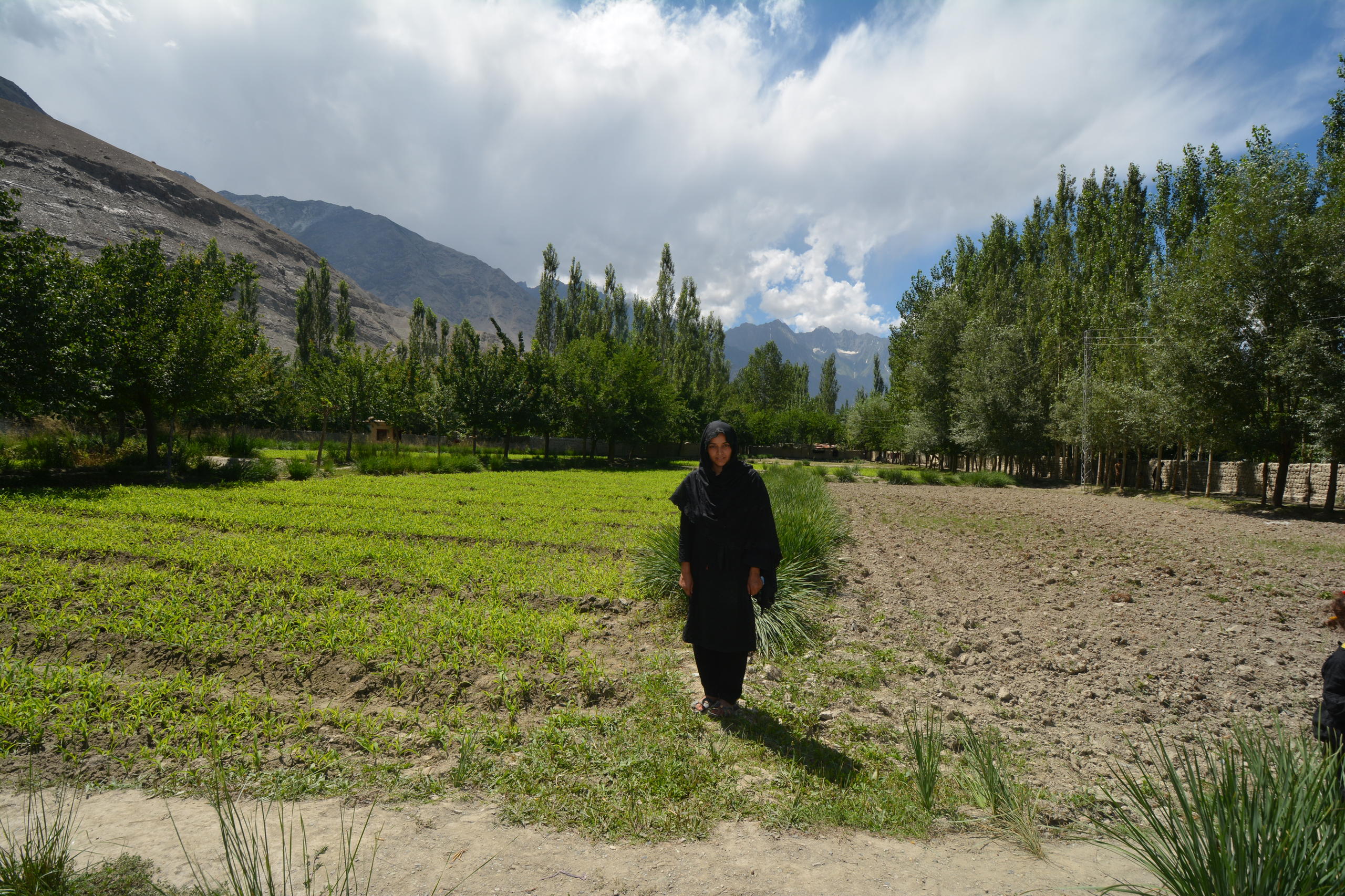 Une femme dans un champ au Pakistan