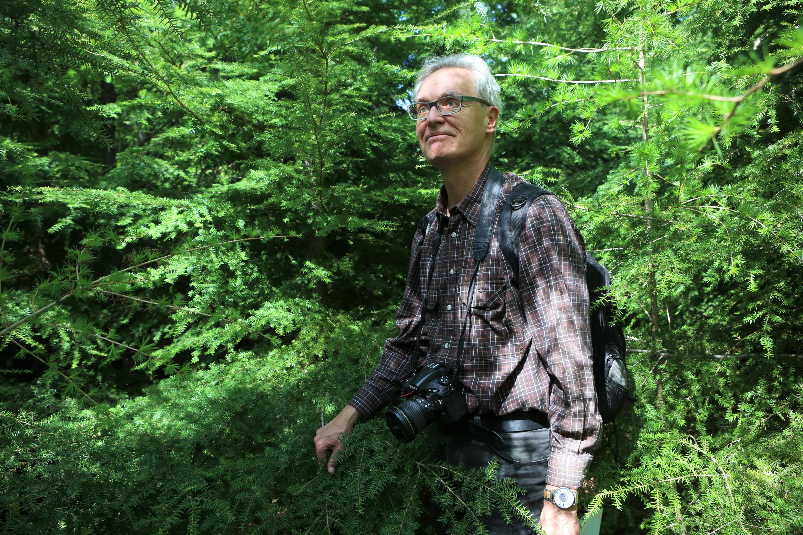 Peter Bang, experto forestal en el bosque