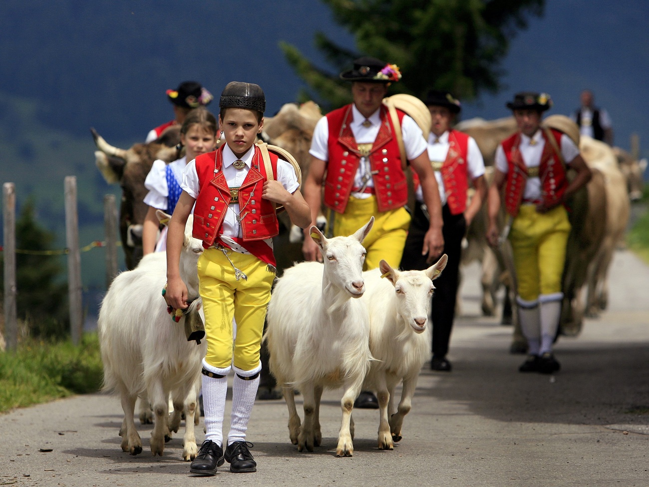 Pastores vestidos com o traje tradicional do rebanho de cabras de uma montanha