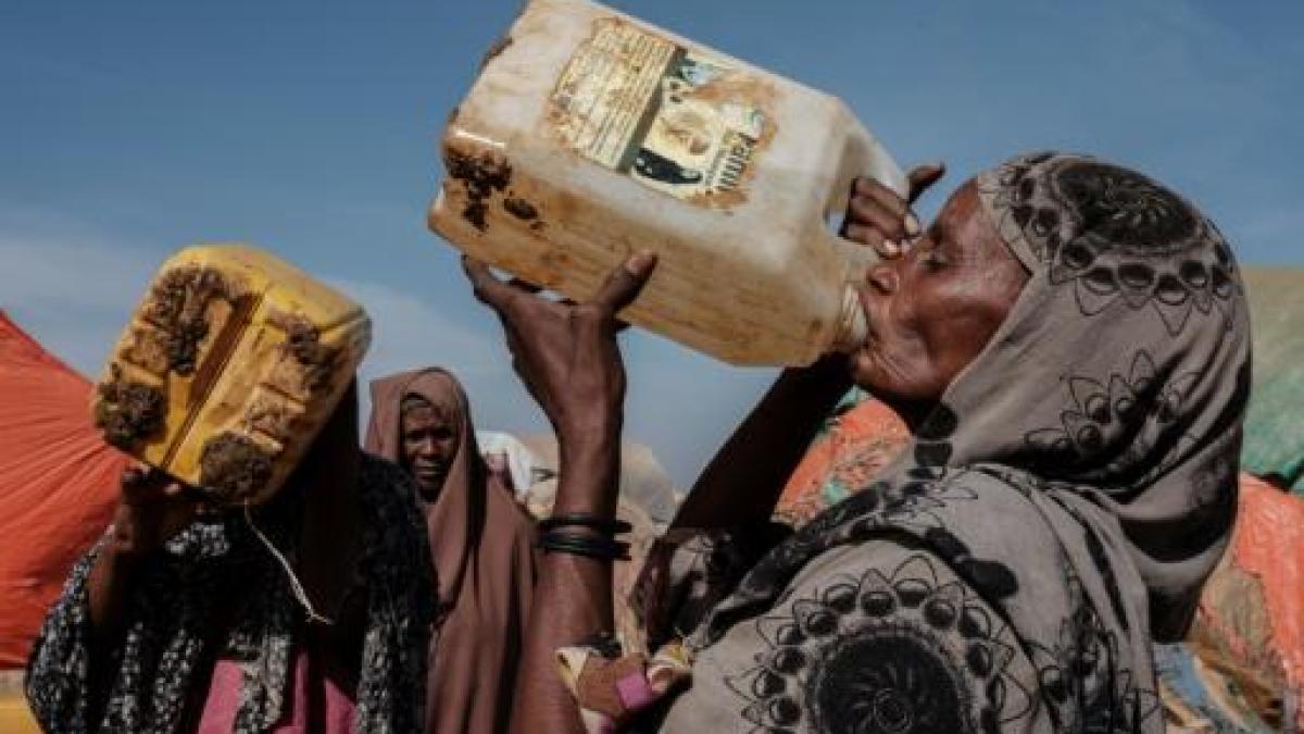 Sequía en Cuerno de África amenaza con hambruna a 20 millones de personas -  SWI swissinfo.ch