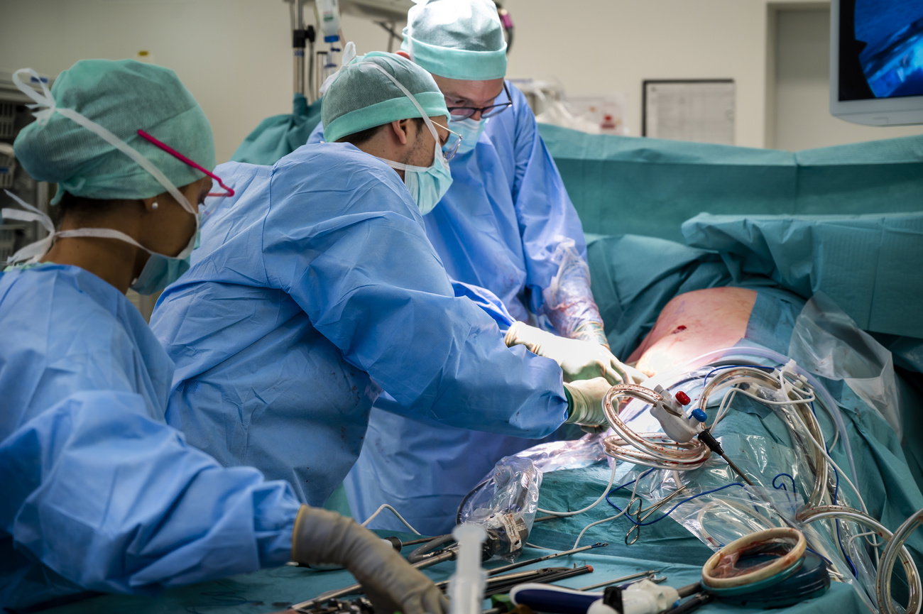 Transplantation