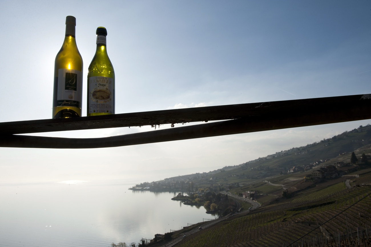 bottles of wine over a lake