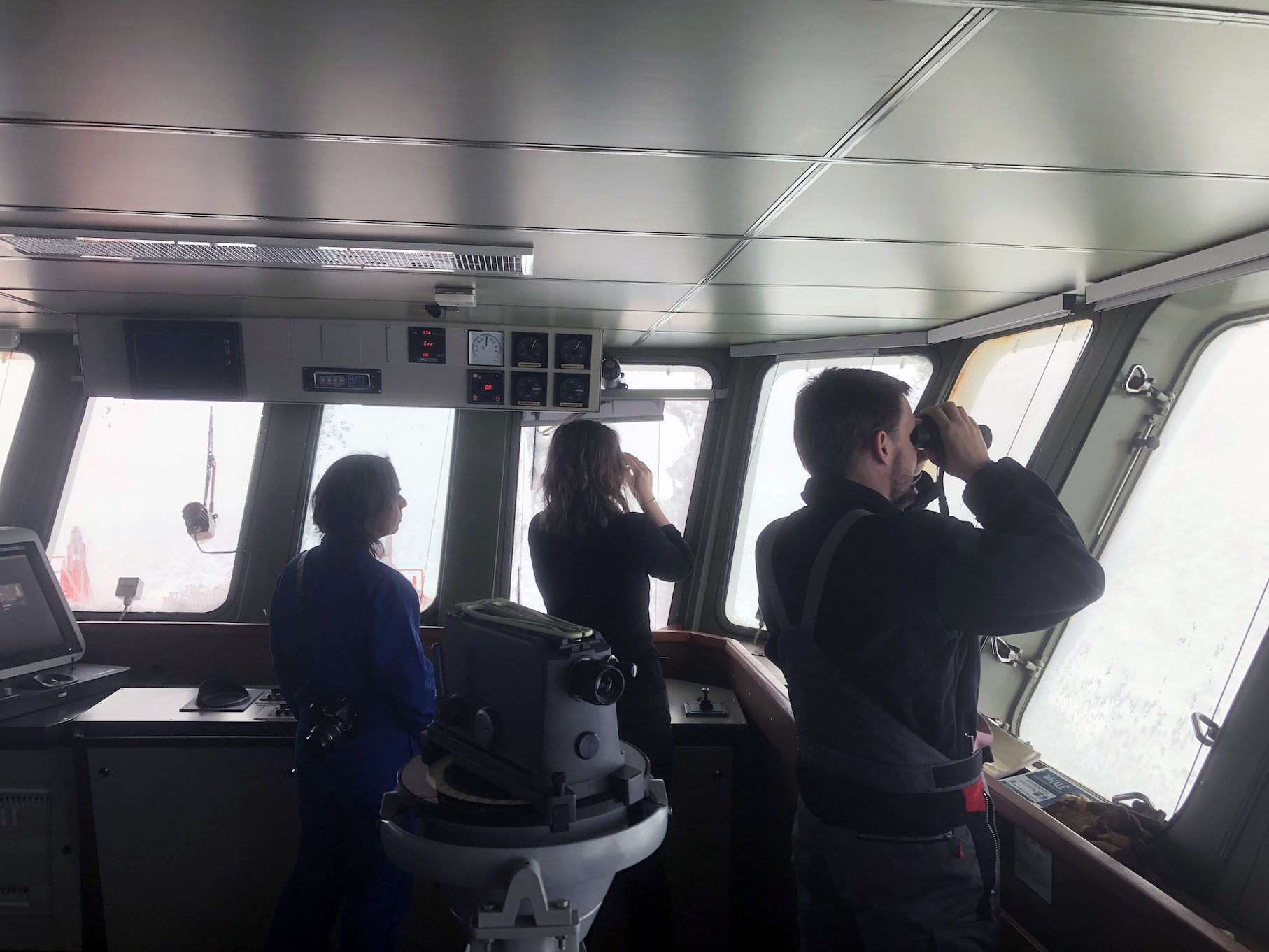 Looking for the longline