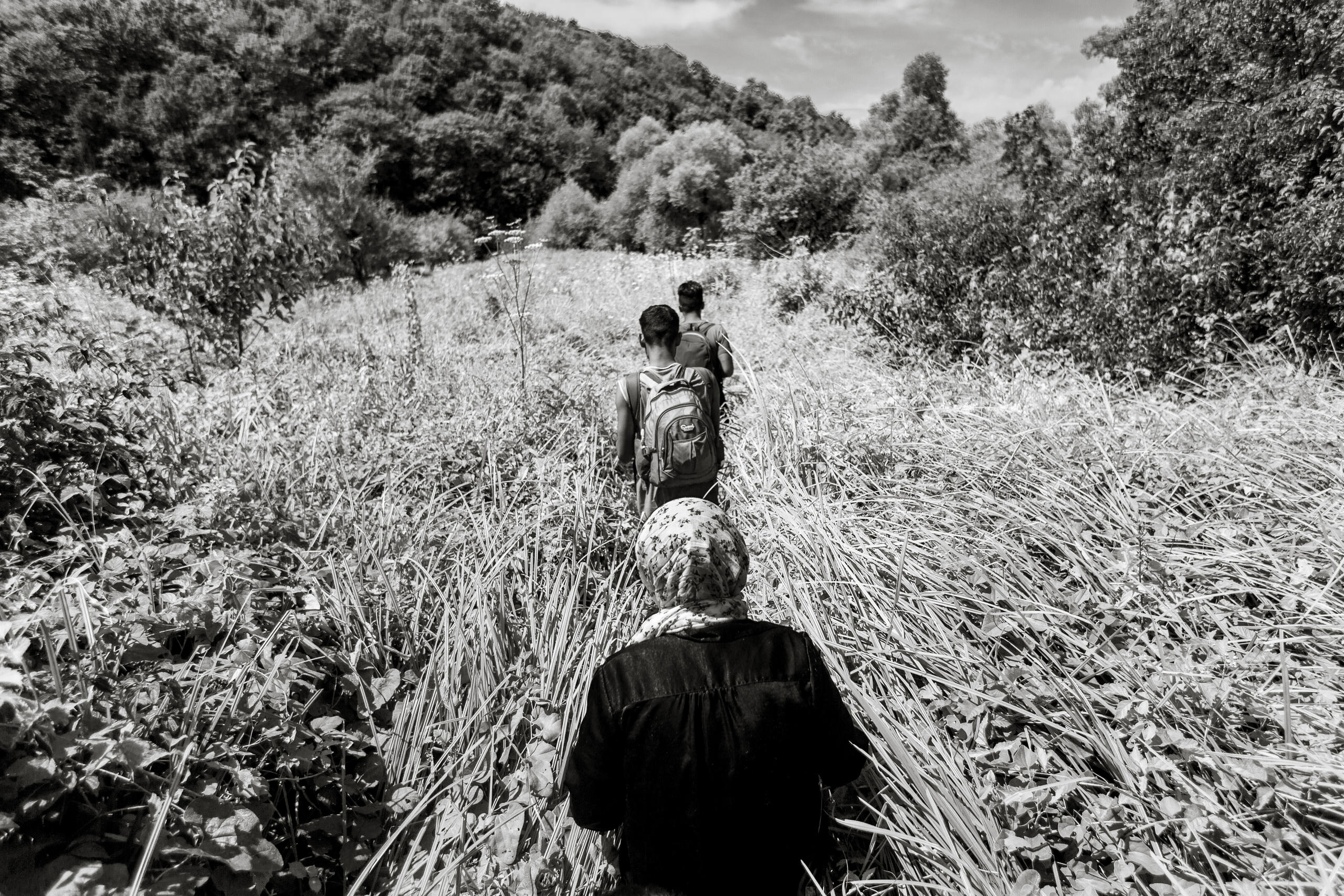 persone che camminano in fila in un campo di grano