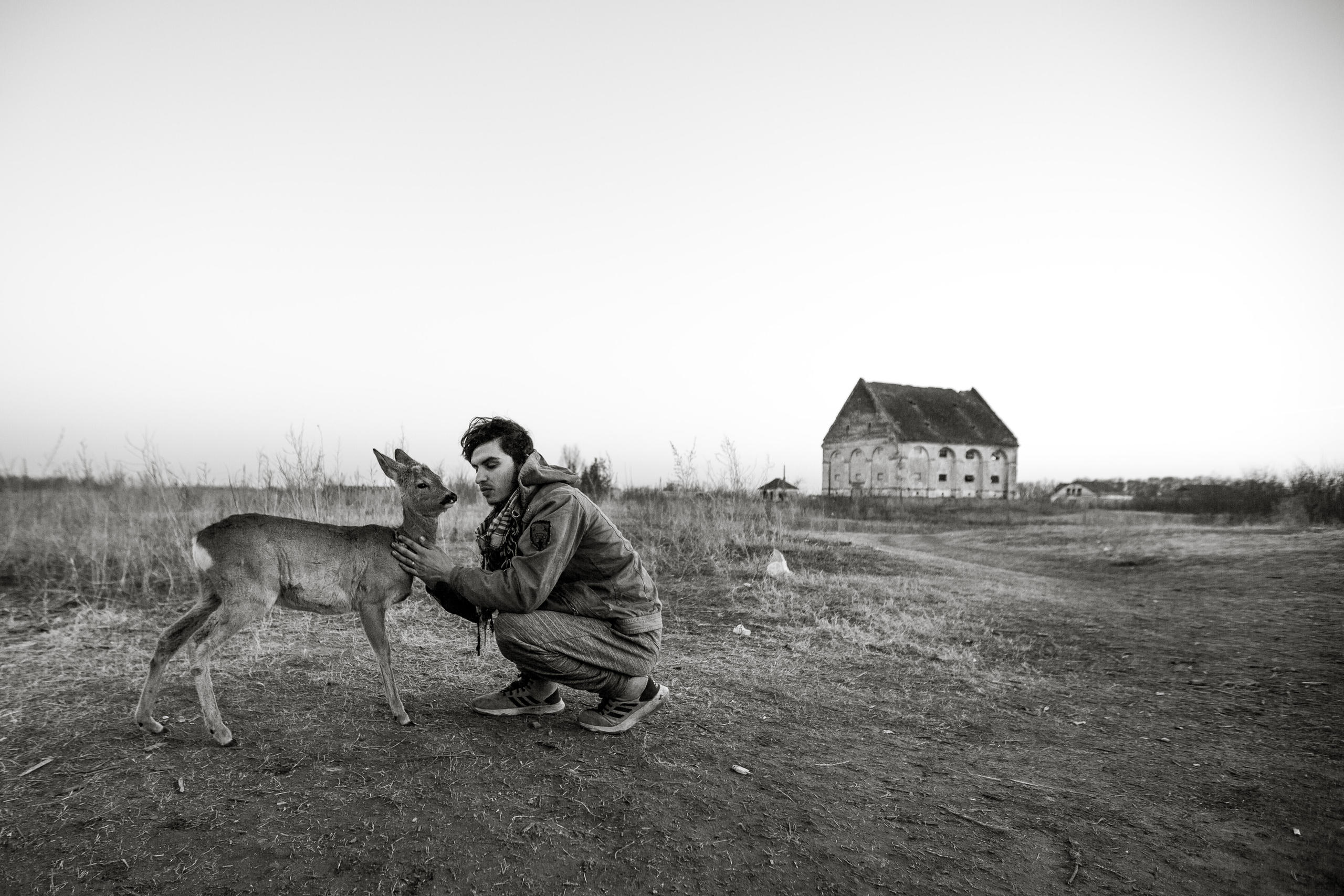 a man petting a deer