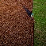 Bio-Landbau stsst an seine Grenzen - SWI swissinfo.ch