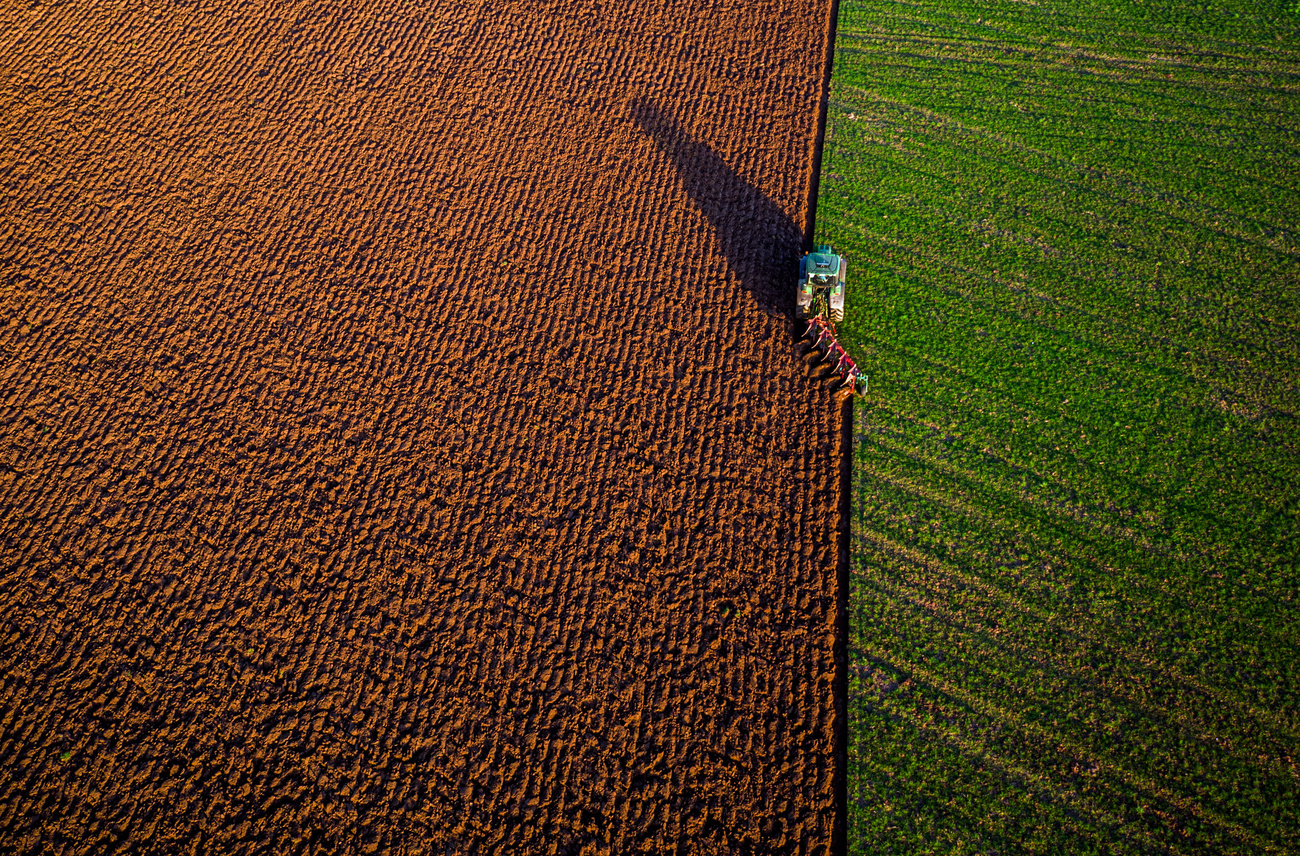 farm