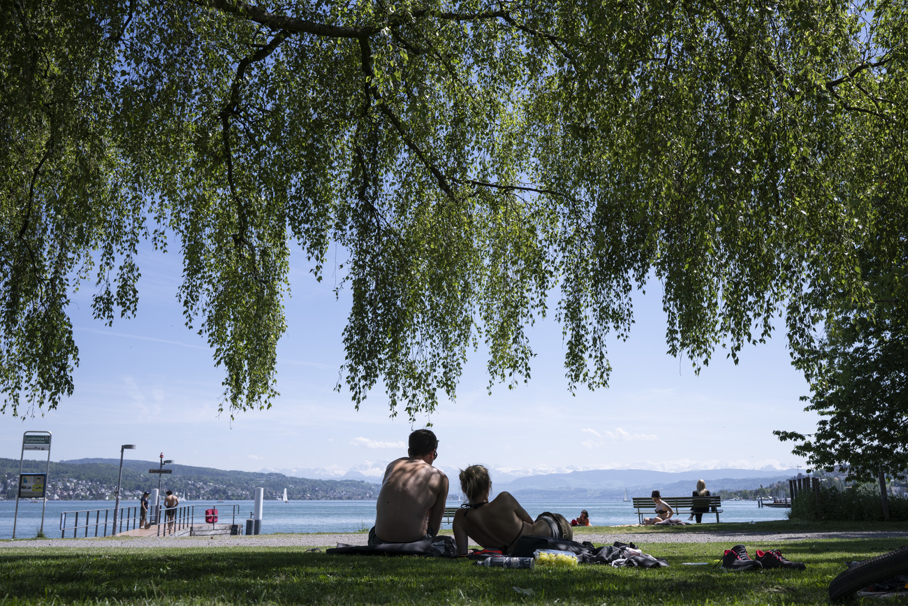 People enjoying the sun at Lake Zurich.