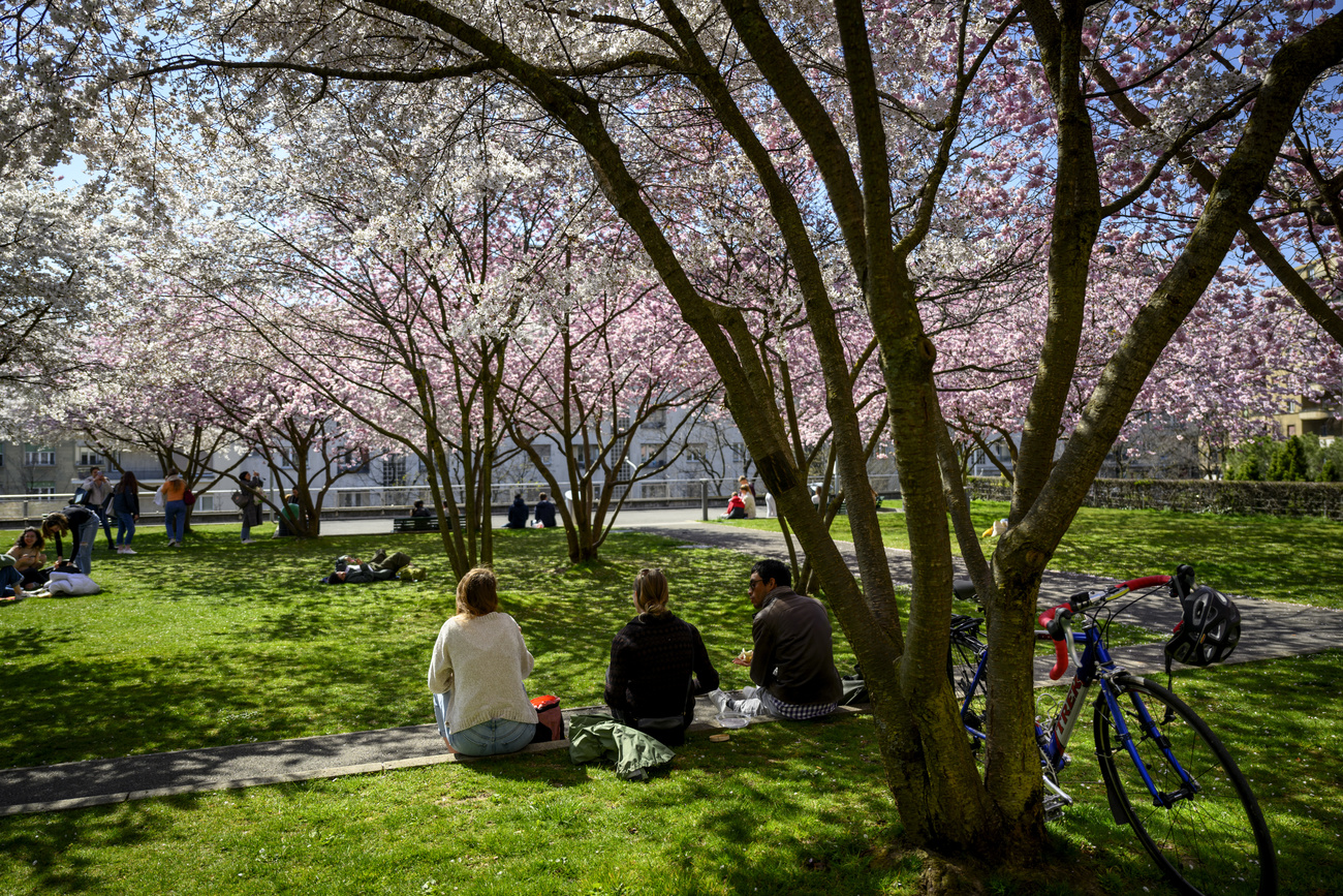People sitting outside in March