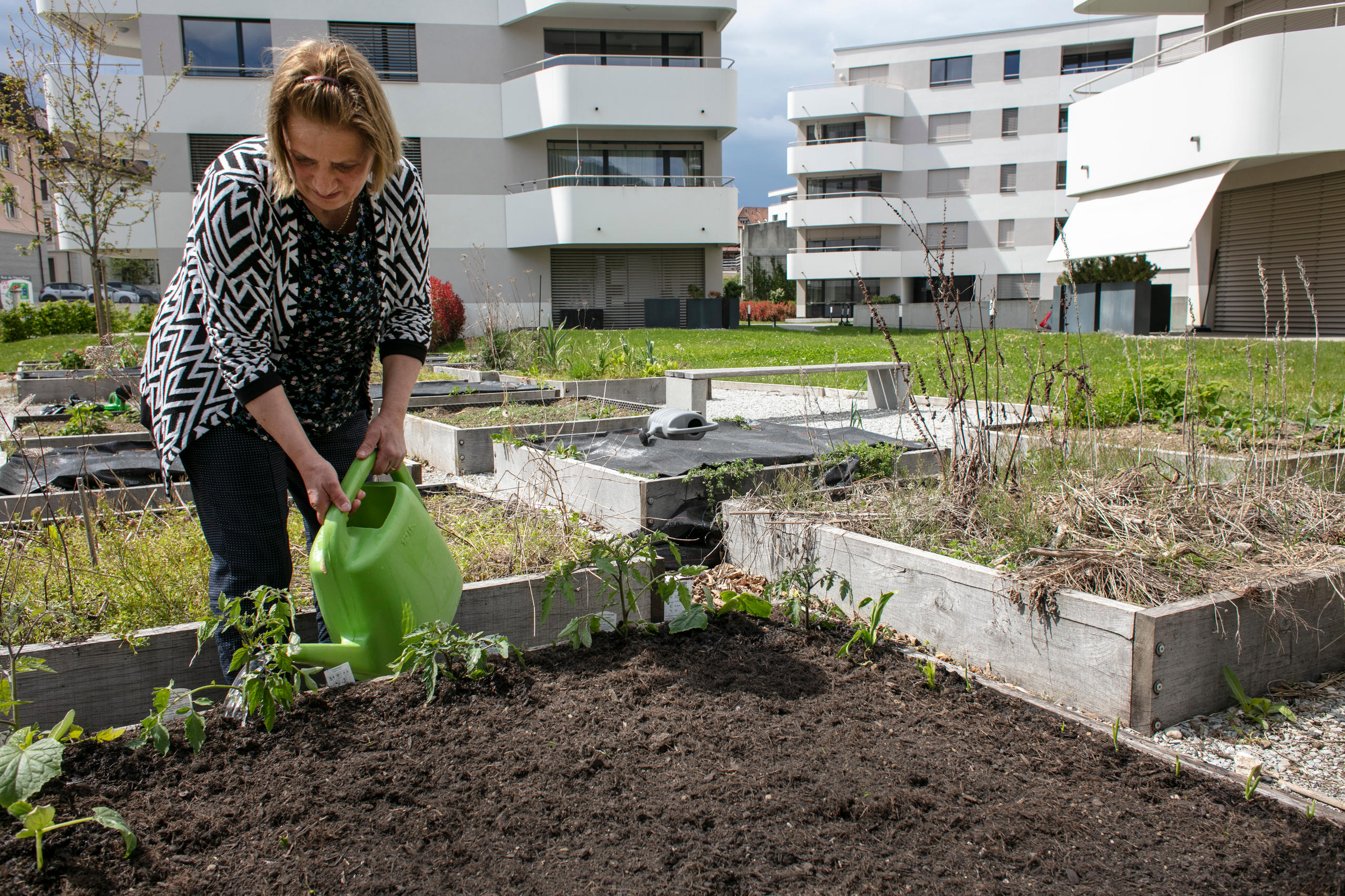 新住宅區裡的每個住戶都有一塊5平米的小菜園。