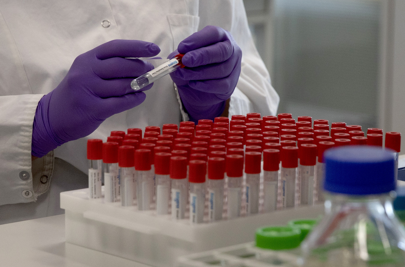 Lab technician in purple gloves labels test tubes.