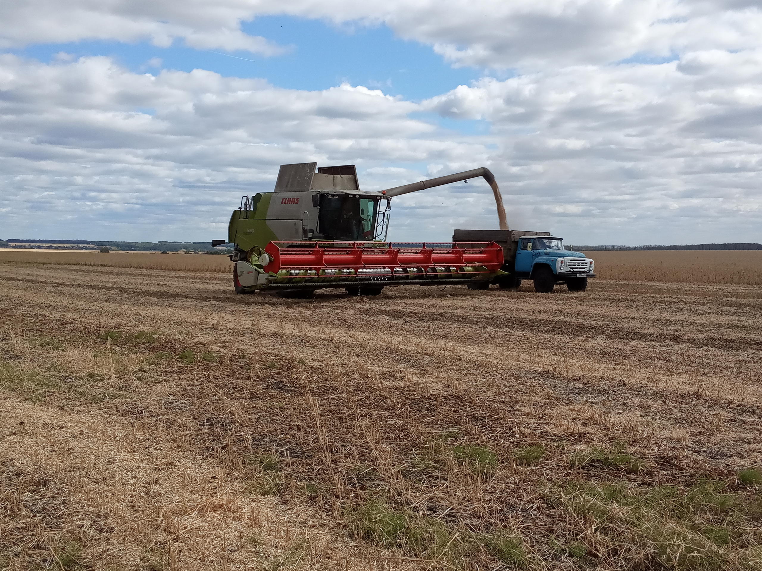 Mähdrescher und Lastwagen auf Weizenfeld