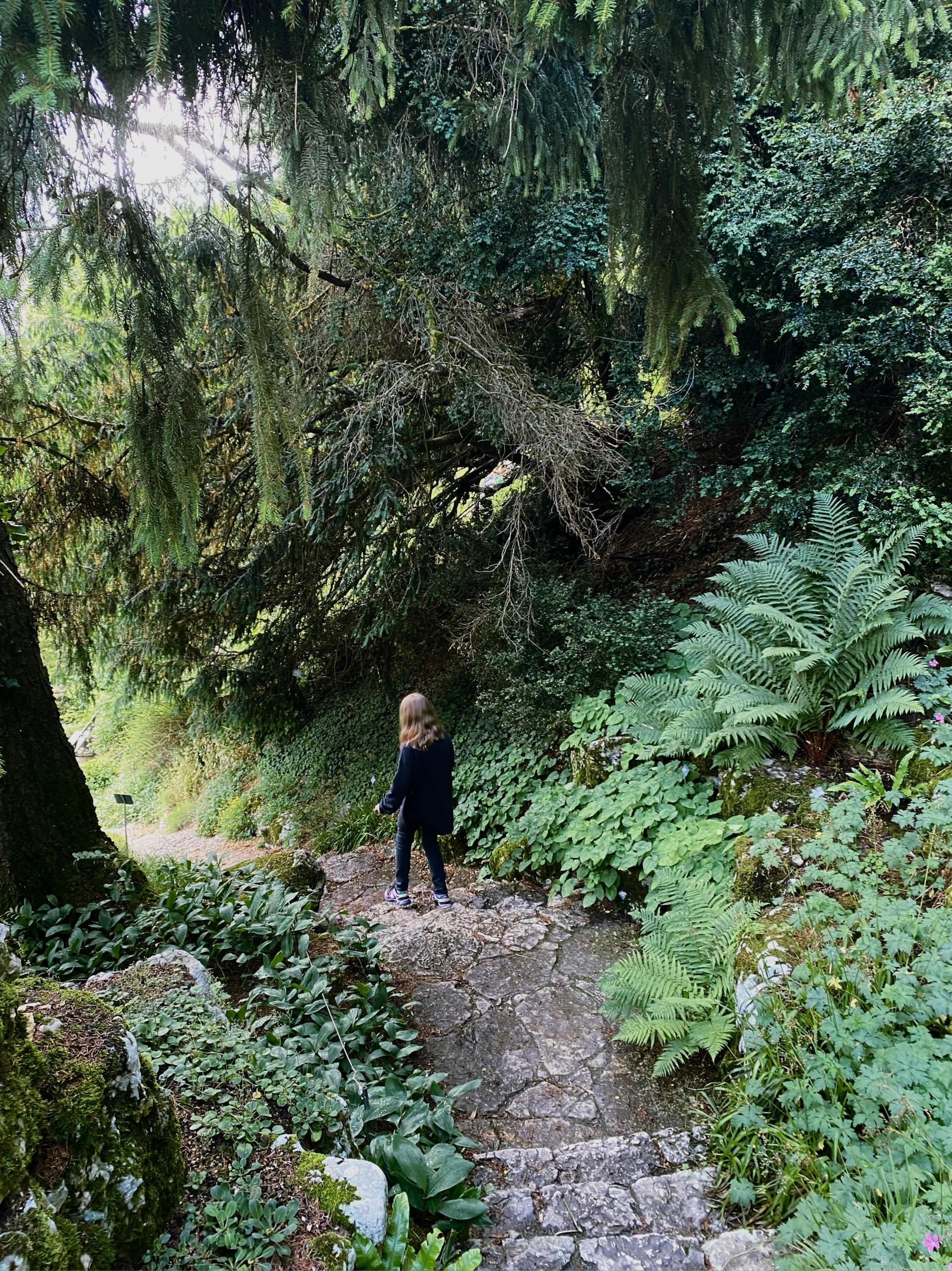 Una chica en un jardín botánico