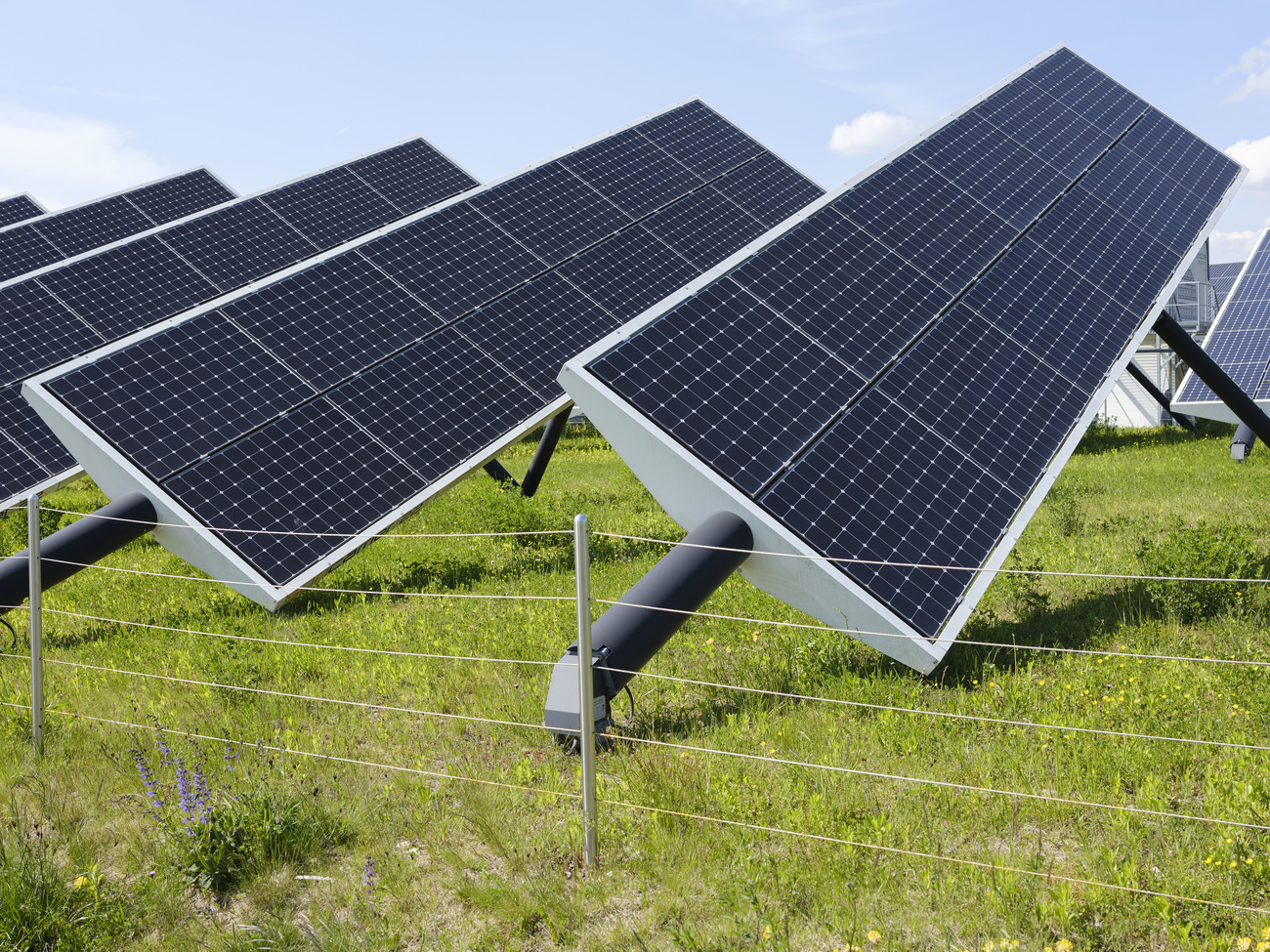 pannelli solari su un prato