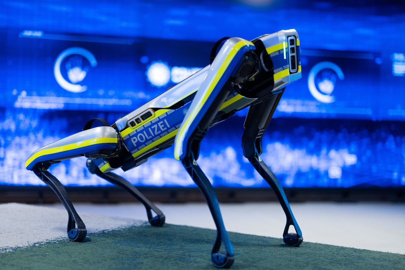 chien robot