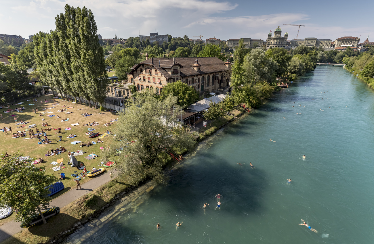 Aare schwimmen