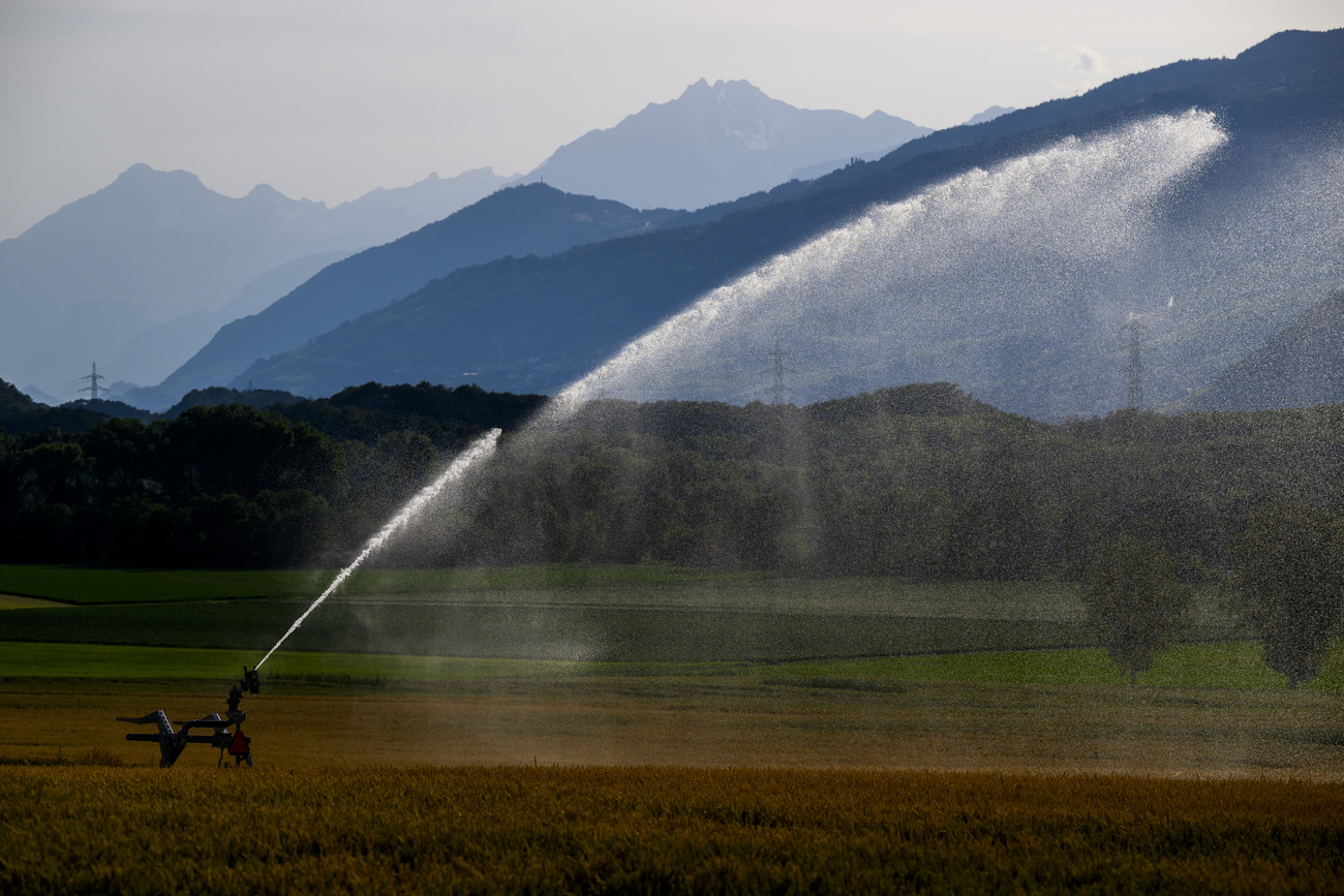 watering agriculture