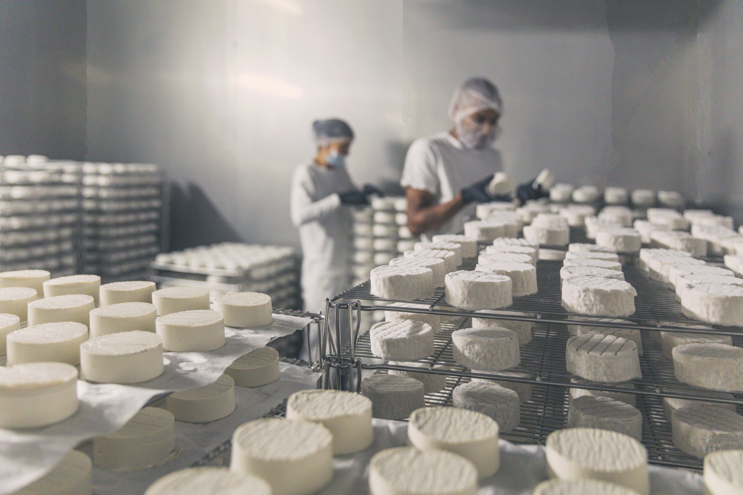 fromages véganes
