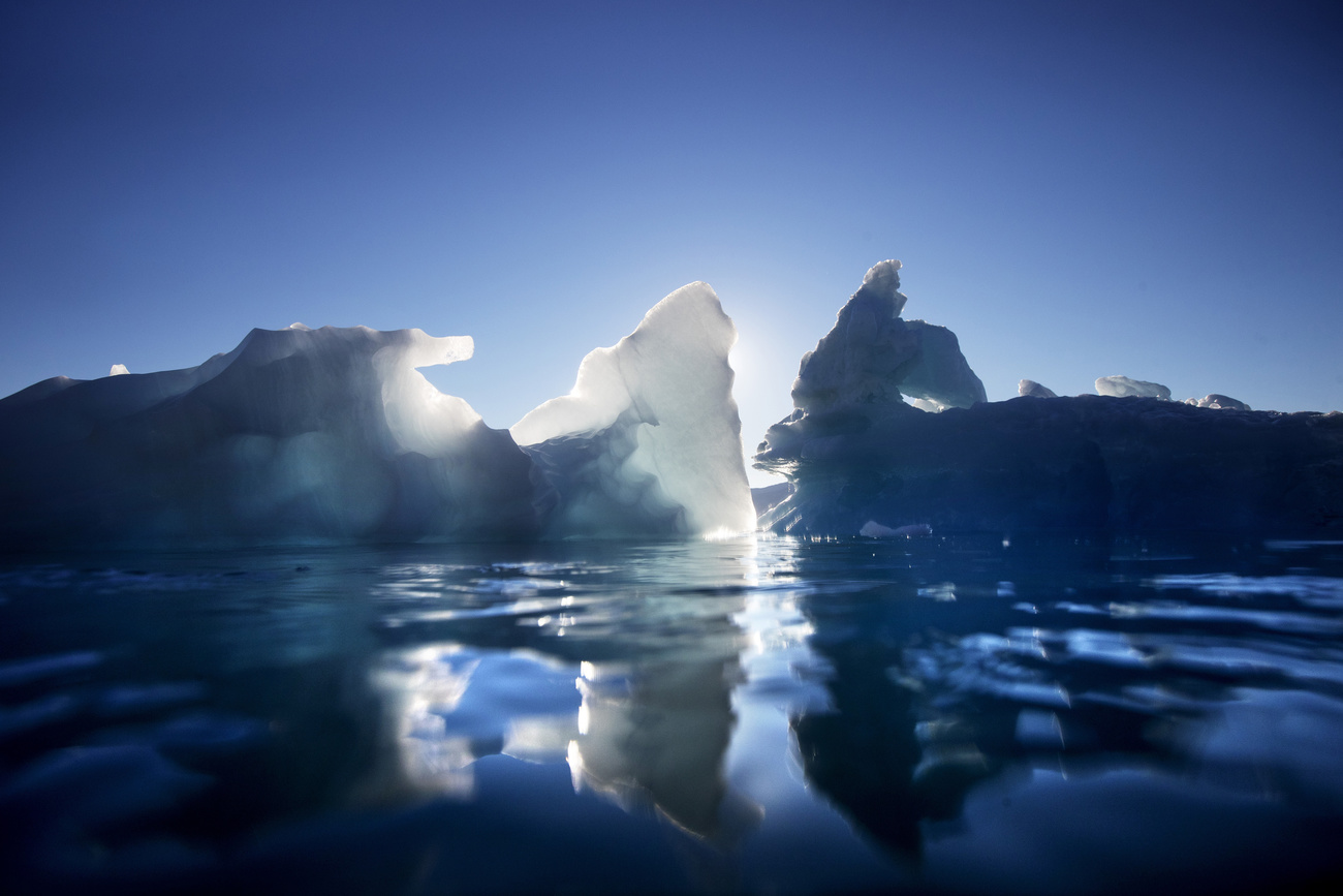 Icebergs in Greenland