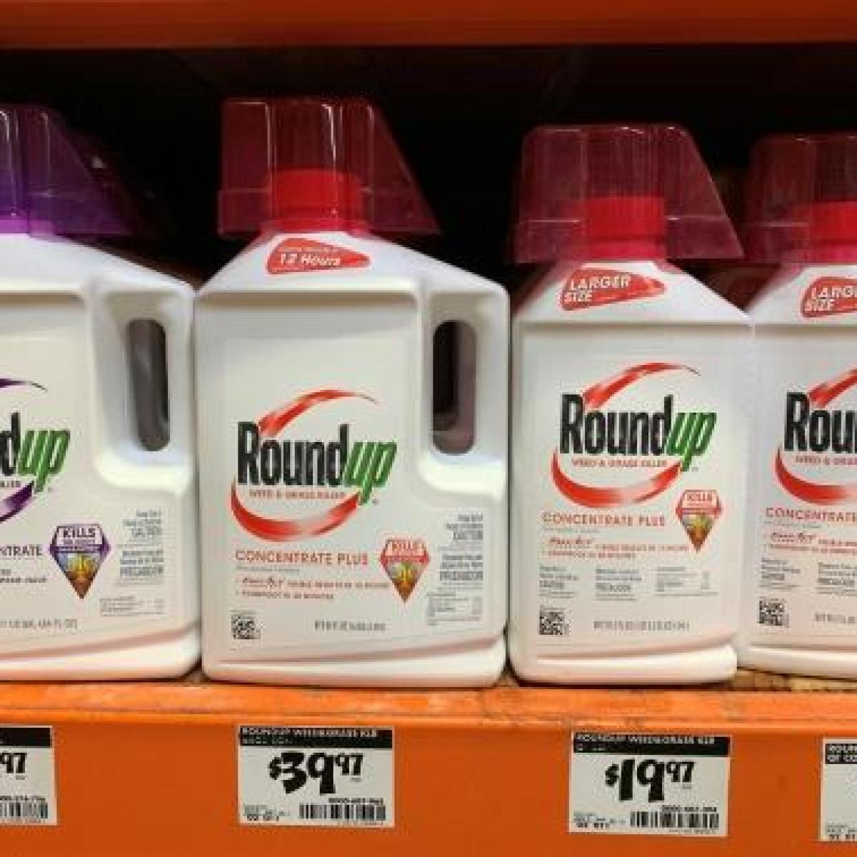 Corte Suprema de EEUU asesta duro golpe al herbicida Roundup de Bayer - SWI swissinfo.ch