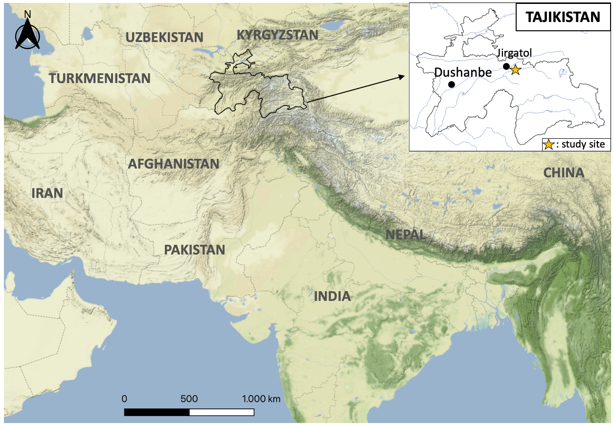 mappa dell asia centrale